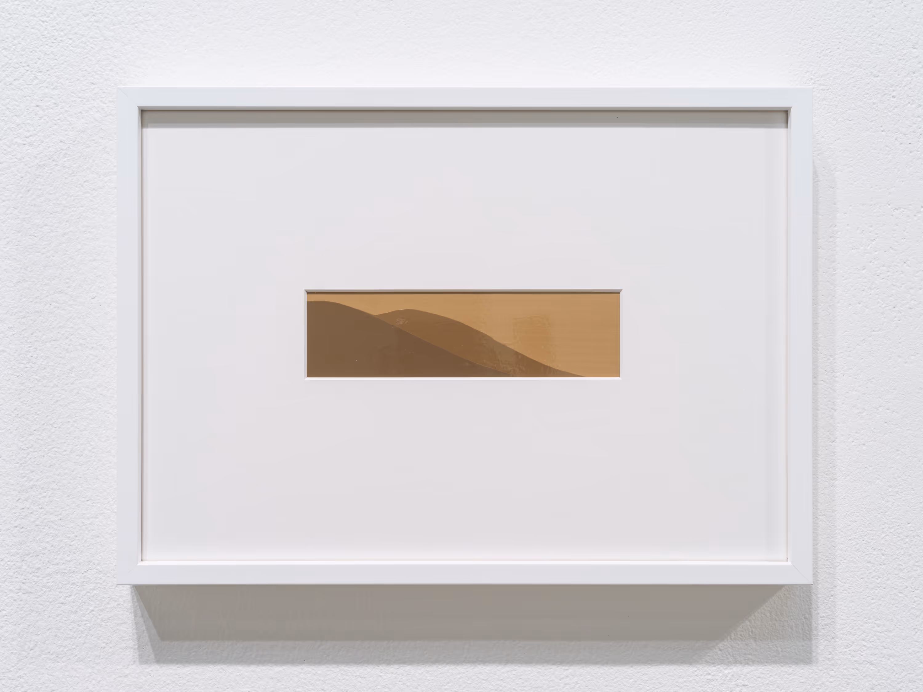Work by Zé Tepedino, 2 of 4