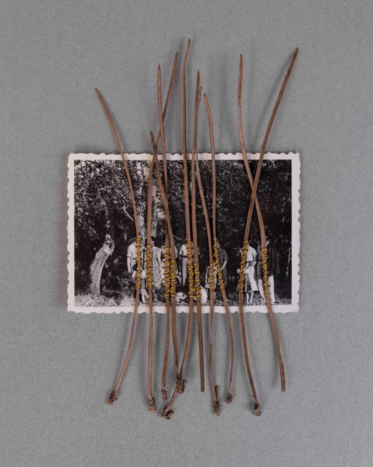 Work by Ieva Saudargaite Douaihi, 3 of 3