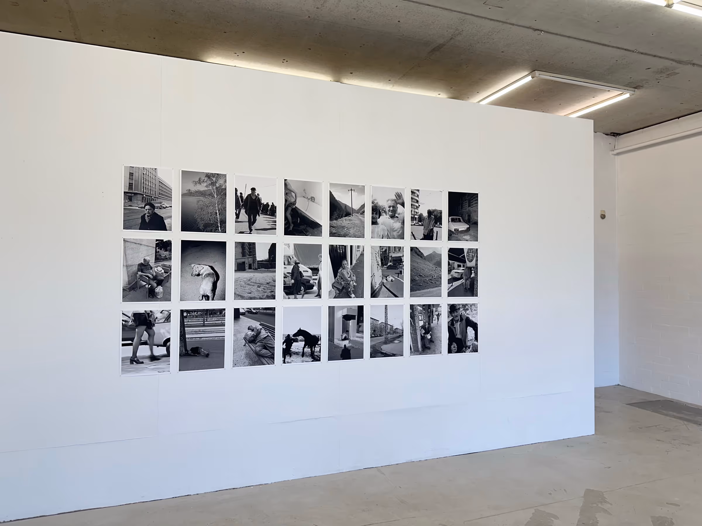 Work by Tudor Bratu, 9 of 9